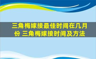 三角梅嫁接最佳时间在几月份 三角梅嫁接时间及方法